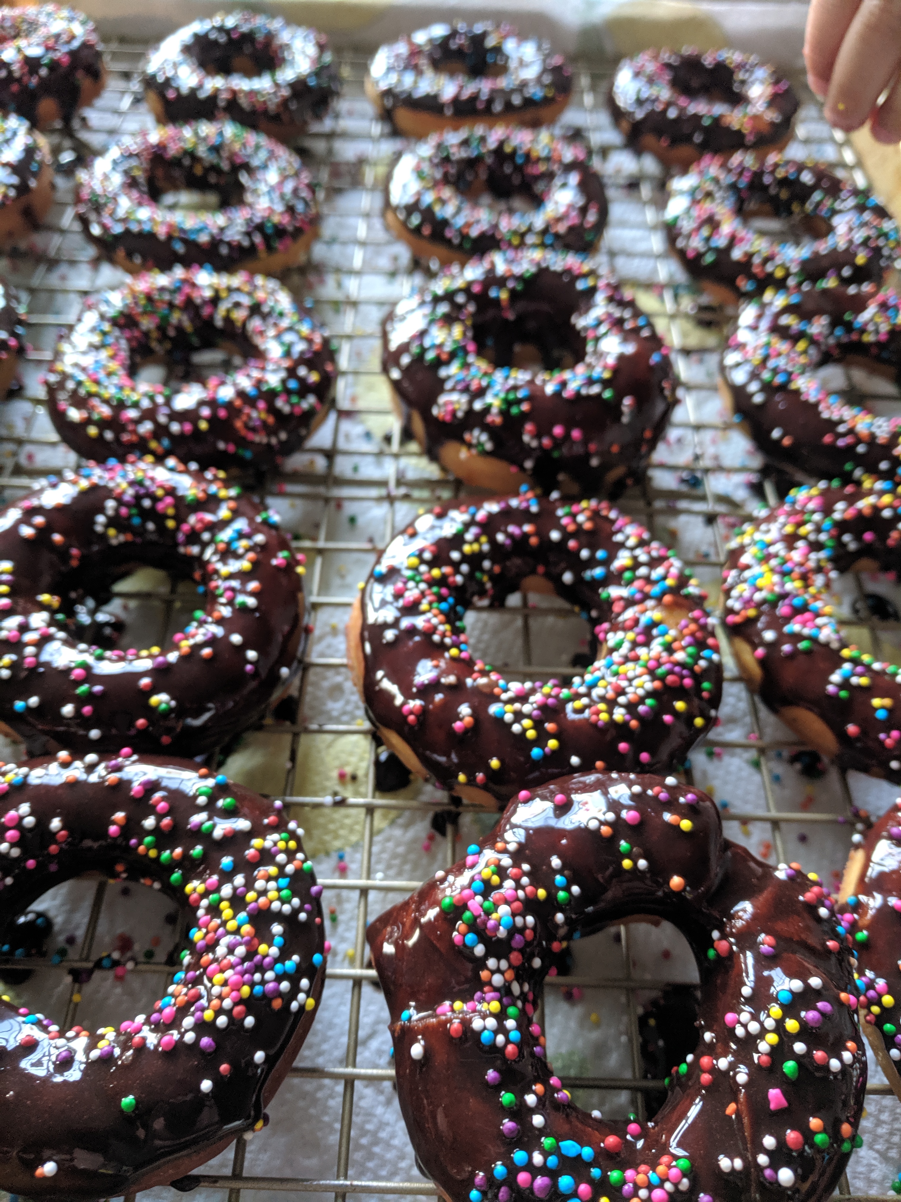 Home made chocolate sprinkle donuts